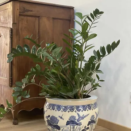 Le Loft Vakantiehuis